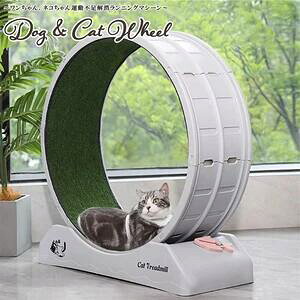 猫 ルームランナー」の人気商品一覧・価格比較 - 価格.com
