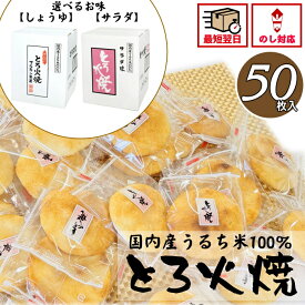 おせんべい ギフト 大容量 大量 大人数 個包装 煎餅 おかき マルキン とろ火焼き お菓子 和菓子【50枚】職場 復職 退職 季節の贈り物におすすめ ばらまき 帰省 翌日配送 当日出荷 当日NH 送料無料 詰め合わ