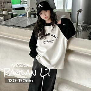 COq ONуI[o[T No.2401205-01 ؍t@bV gbvX XEFbg M  LbY lۂ Vv ̎q   IV ~ H lC q Chee