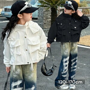 COq h[R[hWPbgyCgfj No.250204-04 ؍t@bV tu] AE^[ M HD V[g fjpc   LbY lۂ Vv ̎q 