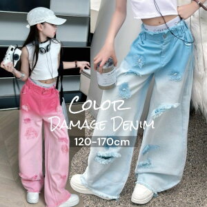 COq J[fjChpc No.T24803-02 ؍t@bV fj W[p sN  fj M n LbY u[ lۂ Vv ̎q _X   IV