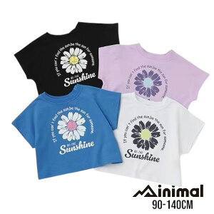 y2025tăZ[zMINIMALyhzFlowerTVc No.4352261i q ~j} ̎q LbY gh[ WjA gbvX  TVc T  vg V[g JWA  ʊw 