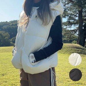 e[vZIPȃxXg K250904-01 ؍StEFA StEFA fB[X AE^[ _E u] n  JWA HD H ~  v`v n VvgbvX Stq 