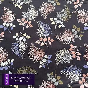 oeBvgy^i[/TheArchivist'sEditzCbNoCoisNnԁ@DjLilacRevival@dc31449-d@C^AY