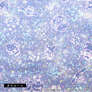 ���o�e�B�v�����g�y�^�i���[��/2025AW Little Twin Stars Collection�z�R���X�e���[�V�����E�X�J�C�i�p�[�v���@J25A�jConstellationSky dc35399-j25a