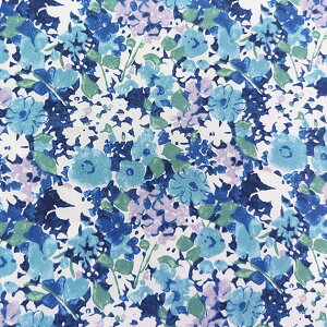 oeBvgy^i[/ʒzVFCfbhu[XiI^VAu[ J23Bjshaded blooms@dc33279s71-j23b@`r`rLb`ʒn