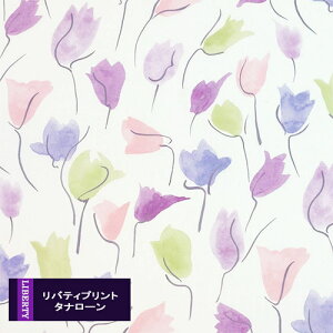 oeBvgy^i[/ʒz`[bvVh[i~gx_[ J22bjTulipShadow@3631229-j22b@`r`rLb`ʒn