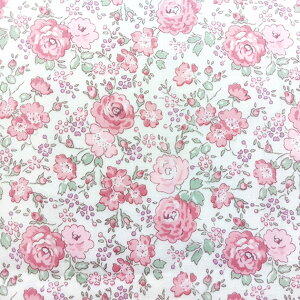 oeBvgy^i[/ʒzktFVeiGKg[Y J24CjFelicite@3637113s-j24c@`r`rLb`ʒn