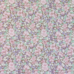 oeBvgy^i[/ʒzvisNVp J23AjPrimula@dc27309-j23b@sNx[Wn@`r`rLb`ʒn