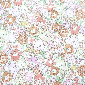 oeBvgy^i[/ʒz~VFo[hio^[~U@J24BjMichelleBird@dc28737-j24b@`r`rLb`ʒn