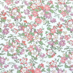 oeBvgy^i[/ʒzwe[WE[YiI[hT[ J23BjHeritageRose@dc33287-j23b@{o@`r`rLb`ʒn