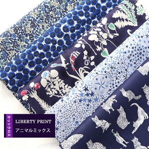 JbgNX@Aj}~bNX@~IE@VG@ʒ@@nhCh@ԕ@LIBERTY@ ͂ 5ރZbg@ 30×25cm@oeB