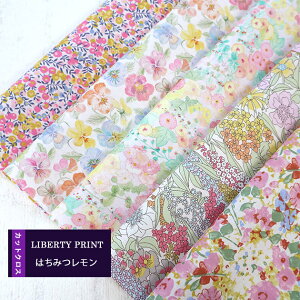 JbgNX@݂͂@z[zbNX@VNIu~[@@nhCh@ԕ@LIBERTY@ ͂ 5ރZbg@ 30×25cm@oeB