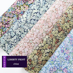 JbgNX@`Cu@ʒ@nhCh@LIBERTY@ ͂ 5ރZbg@ 30×25cm@oeB