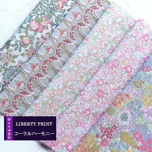 JbgNX@R[n[j[@sNn@pXe@T[ LIBERTY@ ͂ 5ރZbg@ 30×25cm@oeBvg@nhCh