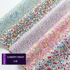 JbgNX@ԁ@pՁ@ʒ@@nhCh@ԕ@LIBERTY@ ͂ 5ރZbg@ 30×25cm@oeB