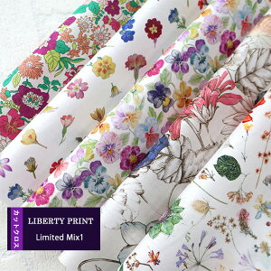 JbgNX@Limited Mix1@Jt~bNXn@݌Ɍ@Ĕ̂Ȃ@nhCh@LIBERTY@ ͂ 5ރZbg@ 30×25cm@oeB