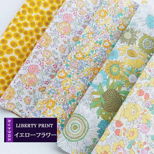 JbgNX@CG[t[@CG[n@pXe@F@ @LIBERTY@ ͂ 5ރZbg@ 30×25cm@oeBvg@nhCh