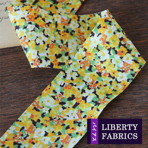 oeBvgy4cmoCAXzBeverlyiw@[jDC21397@livbias500 4cmܖoCXe[vi3mJbgρj