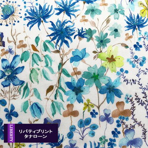 oeBvgy^i[/pԁzAmber's PosyiAo[Y|[W[jFn@DC28672WE@@pԐn