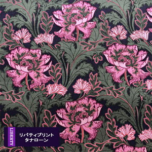 oeBvg s^i[/AW20 LibertyGalleyt|s[EtA@isNjPoppyFlair@DC31031-J20C