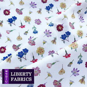 oeBvgs^i[/2019{^jJtf{y^inԃ~bNX J19AjDevonPetals DC30098-J19A