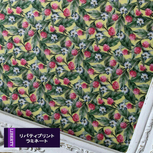 楽天市場 Liberty リバティプリント ラミネート Fife Berries ファイフ ベリーズ 黄 赤実 Dc J19c 10ｃｍ単位 チビチビキッチン