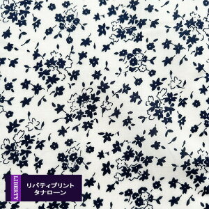 oeBvgy^i[/pԁzAgii VEFj Altona@3335126-ve@@pԐn