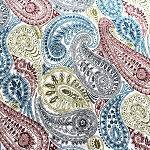 oeBvgy^i[/pՁzfRyCY[iD@O[uEjDecoPaisley dc31447-d@ p