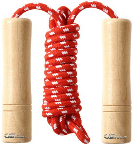 ꒵ qp c w VRؐ ₷Obv \ S Kpy[J[30ۏؕtz