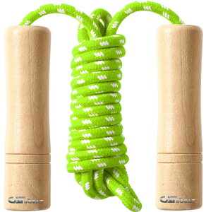 ꒵ qp c w VRؐ ₷Obv \ S Kpy[J[30ۏؕtz