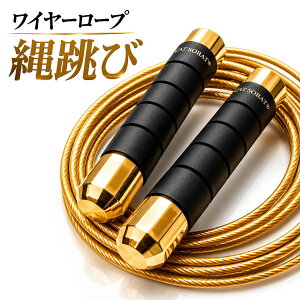 【PRO SPEC】縄跳び ワイヤー ゴールド ベアリング内蔵 高速回転 プロ仕様 長さ調整可能 頑丈設計 有酸素運動 