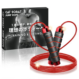 y݌v̔10{˔jzVC꒵ F  lp qp C[[v y y[J[30ۏؕtz