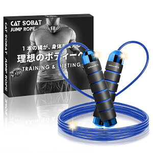 y݌v̔10{˔jzVC꒵ F  lp qp C[[v y y[J[30ۏؕtz