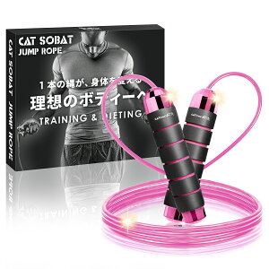 y݌v̔10{˔jzVC꒵ F  lp qp C[[v y y[J[30ۏؕtz