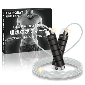 y݌v̔10{˔jzVC꒵ F  lp qp C[[v y y[J[30ۏؕtz