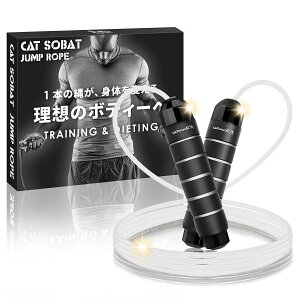 y݌v̔10{˔jzVC꒵ F  lp qp C[[v y y[J[30ۏؕtz