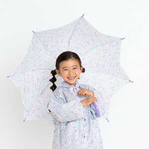 _yVX[p[SALEz^yŒZI365oׁzP w J JP t[Au P Ԃ̌` ʕ qp LbY ̎q P J LbYJP e50cm e55cm 킢 u