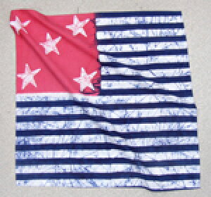 901 bhX^[u[XgCv ōCho_i y  lR|X 54cmp Ch PNX