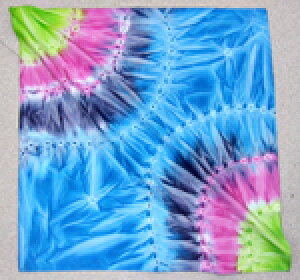 941 R[i[T[NY ōCho_i y  lR|X 54cmp Ch PNX