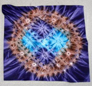 947 u[XNGAC[WT[N ōCho_i y  lR|X 54cmp Ch PNX