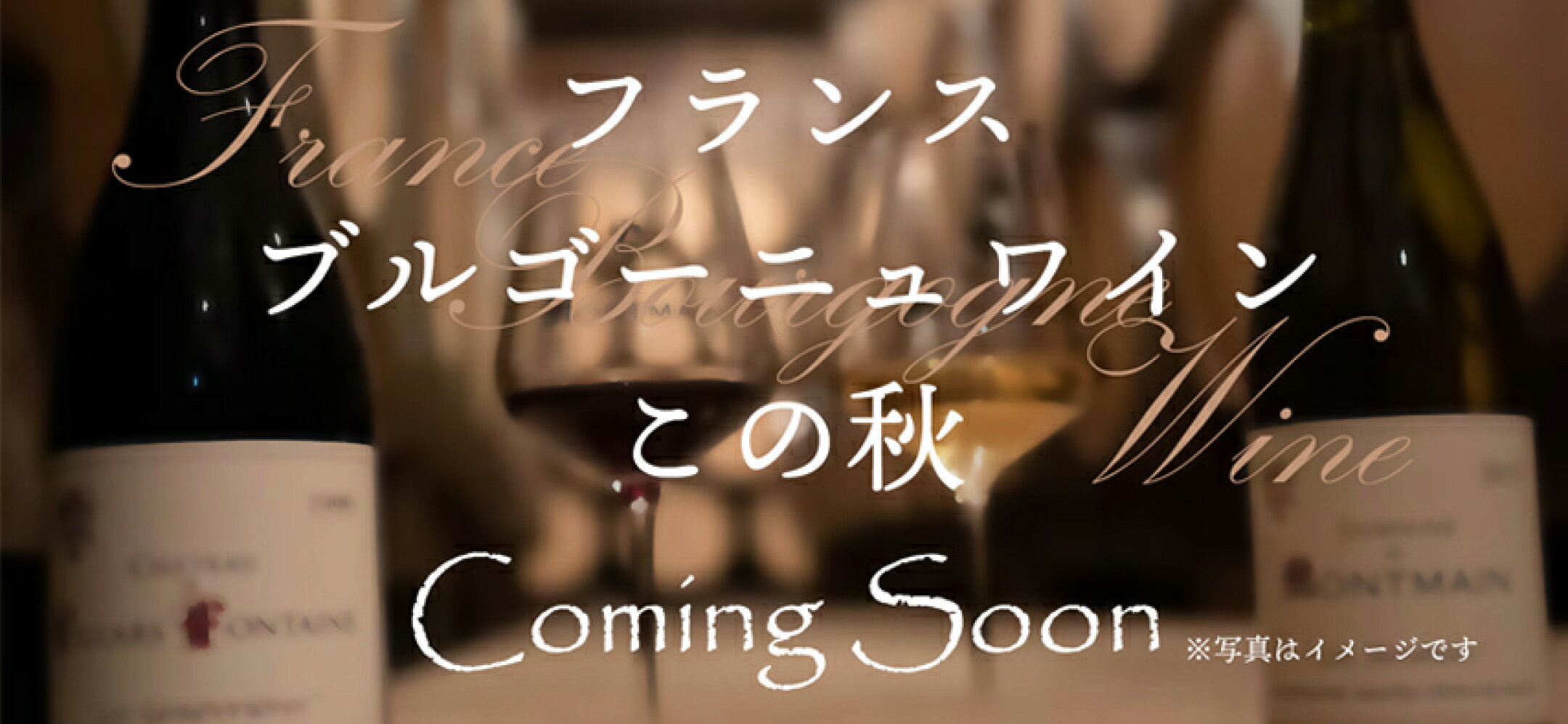 ブルゴーニュワイン Coming Soon!