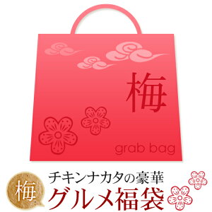 `LiJ^̃O 2026y~zy Zbg g ȕ 