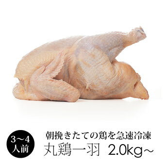 丸鶏(中抜き1羽)紀州うめどり(鶏肉1羽)約2.0kg〜2.8kg[生鳥肉ローストチキンに]