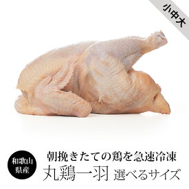 丸鶏 (丸鳥 中抜き 1羽) 紀の国みかんどり【小中大サイズ】国産 鶏肉 鳥肉 1羽 ローストチキンに ブランド鶏 みかん鶏 約1.7kg～2.8kg