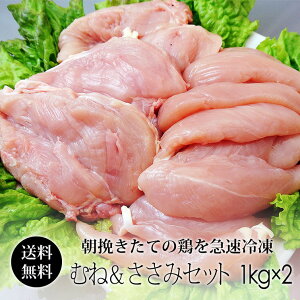 { I݂̍ǂ 2kgZbg (ނ˓) e1kg (Ⓚ) Y a̎RY l TT~ ݂{ yz