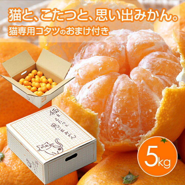 楽天市場 予約 猫と こたつと 思い出みかん 日本初 猫専用こたつ付 段ボール製 和歌山ミカン 5kg入セット 保護猫活動 有田みかん 天田 土生 ねこ 猫 こたつ みかん 鶏肉 からあげ通販のチキンナカタ