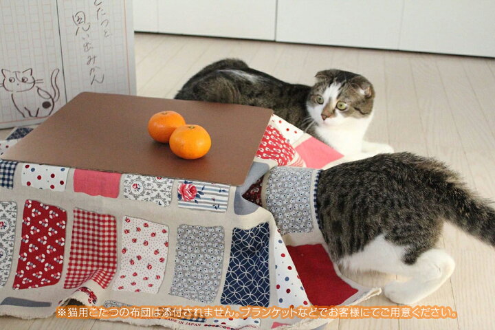 楽天市場 予約 猫と こたつと 思い出みかん 日本初 猫専用こたつ付 段ボール製 和歌山ミカン 5kg入セット 保護猫活動 有田みかん 天田 土生 ねこ 猫 こたつ みかん 鶏肉 からあげ通販のチキンナカタ