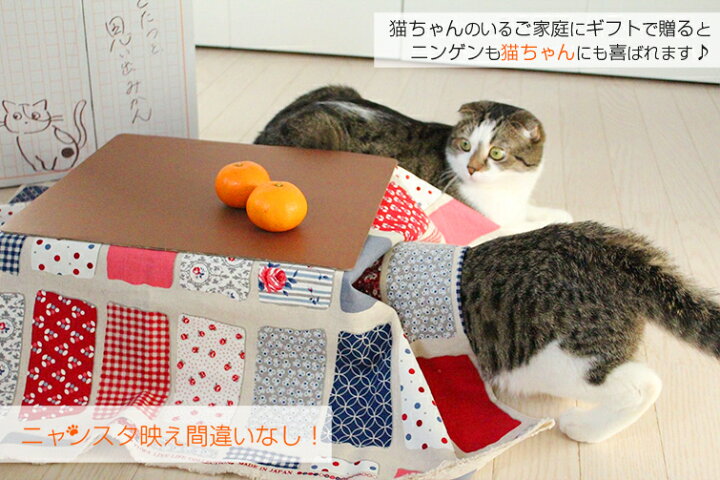 楽天市場】【予約】『 猫と、こたつと、思い出みかん。』日本初 猫専用 