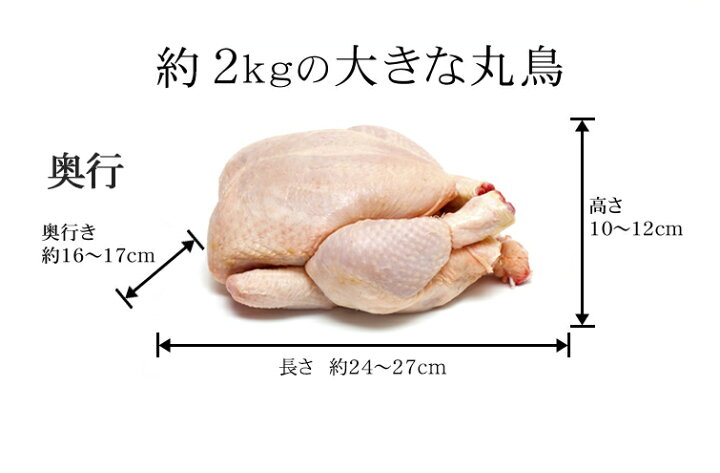 楽天市場 丸鶏 丸鳥 中抜き 1羽 紀の国みかんどり 鶏肉 1羽 約2 0kg 2 8kg 冷凍 鳥肉 ローストチキンに みかん鶏 鶏肉 からあげ通販のチキンナカタ